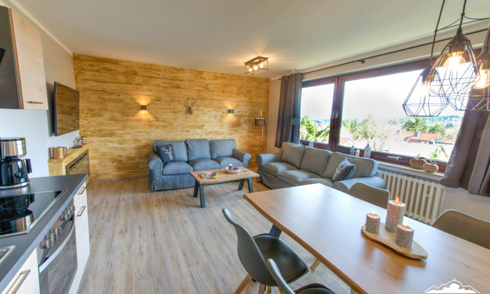 Wohnzimmer Ferienwohnung Braunlage mit rustikaler Holzwand