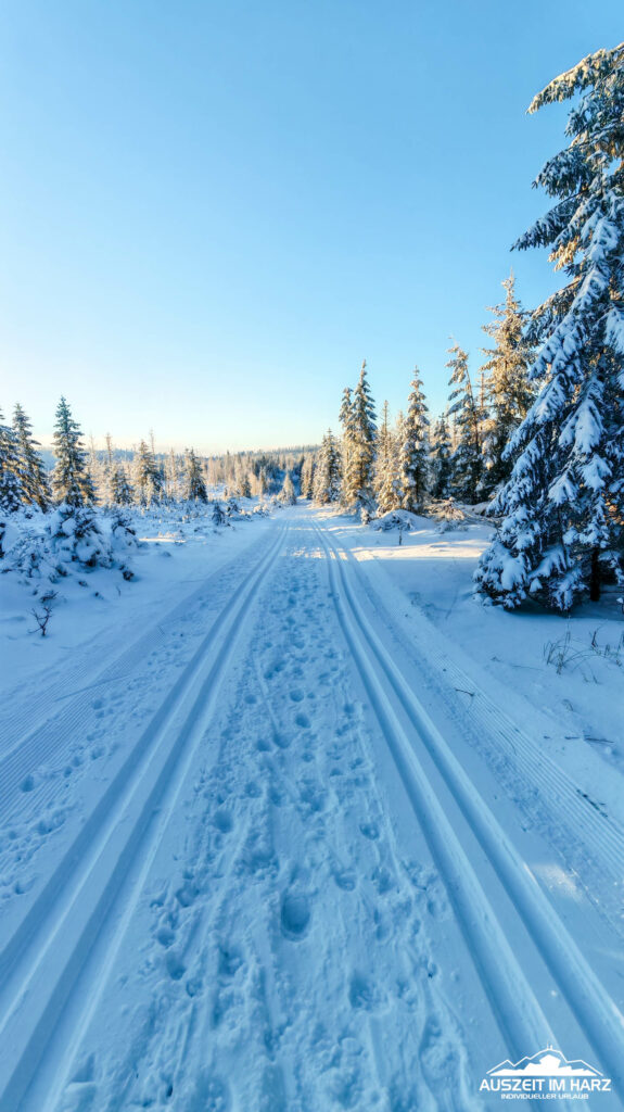 Skilanglauf auf der Winterbergloipe: Ein Wintererlebnis in Schierke