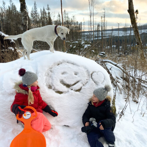 20211210-20211210_153118_IMG0416