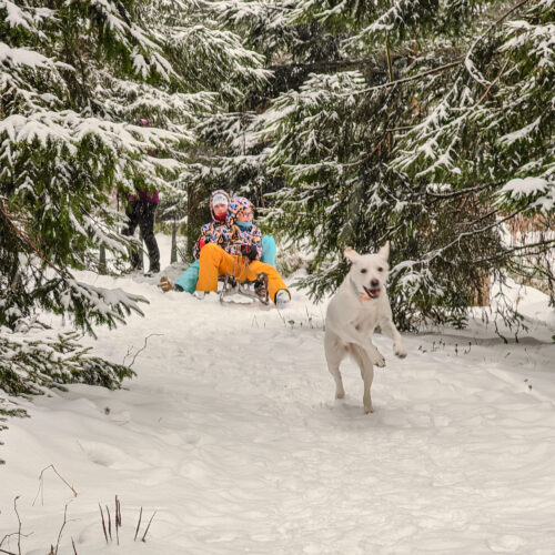 20250105-20250105_120815-20250105120815